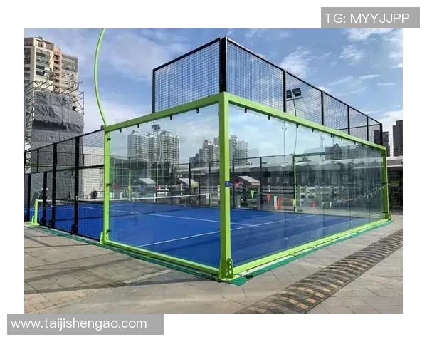 西安网球队的深度解析与战术控制全景揭秘